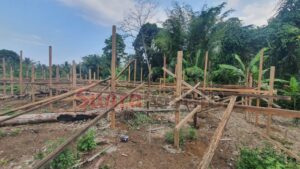Jawaban KPH Pohuwato Soal Pembangunan Kandang Disinyalir Gunakan Illegal Logging, Dibohongi Kades Karya Baru?