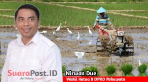 Tak Buat Petani Gundah, Nirwan Due Pastikan Petani Sawah di Duhiadaa Kembali Menanam Tepat Waktu