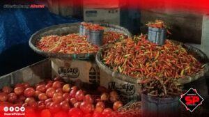 Makin Pedas, Cabai Rawit di Pohuwato Tembus Rp 110 Ribu Per Kg