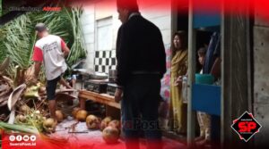 Pohon Kelapa Tumbang, Seorang Penghuni Rumah di Lemito Alami Luka Bagian Kepala