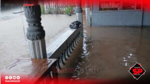 50 Rumah di Desa Karya Indah (Buntulia) Terendam Banjir, Ternyata ini Penyebabnya!