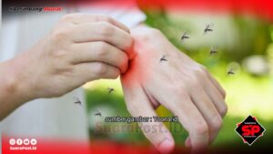 2024 Malaria di Pohuwato Capai 83 Kasus, Dikes Akui Kekurangan Operasional