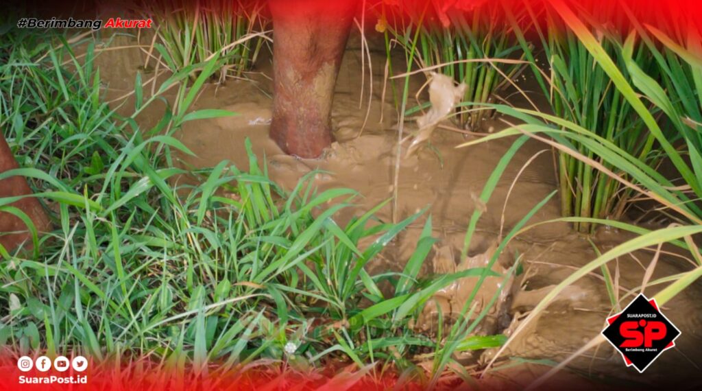 Aktivitas Tambang Emas Ilegal Dengilo, Buat Petani di Paguat Menjerit