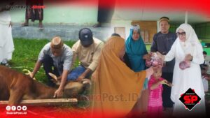 Universitas Pohuwato Berbagi Kurban Bersama Masyarakat