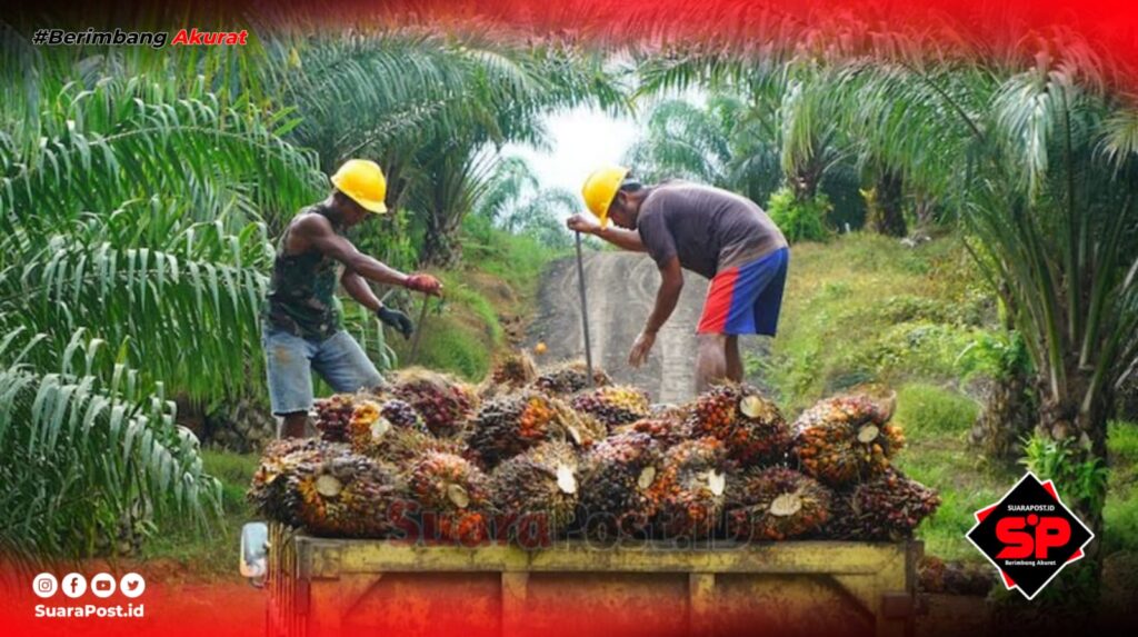 Penjelasan PT.LIL Soal Tuntutan Massa Aksi