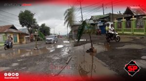 Di Pohuwato, Jalan Rusak Ditanami Pohon Pisang