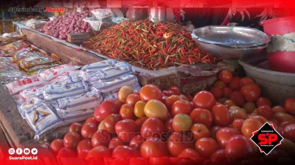Harga Cabai di Pohuwato Kembali Naik, Ternyata ini Penyebabnya!