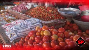 Harga Cabai di Pohuwato Kembali Naik, Ternyata ini Penyebabnya!