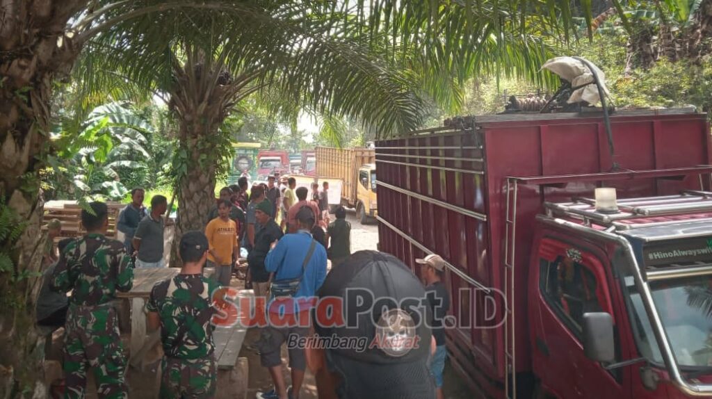 PT. LIL Pasang Badan! Kawasan Perusahaan Bebas Illegal Logging