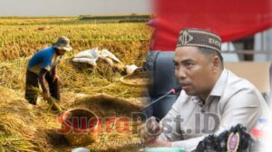 Ekskavator untuk Irigasi: Janji Nirwan Due untuk Petani Duhiadaa