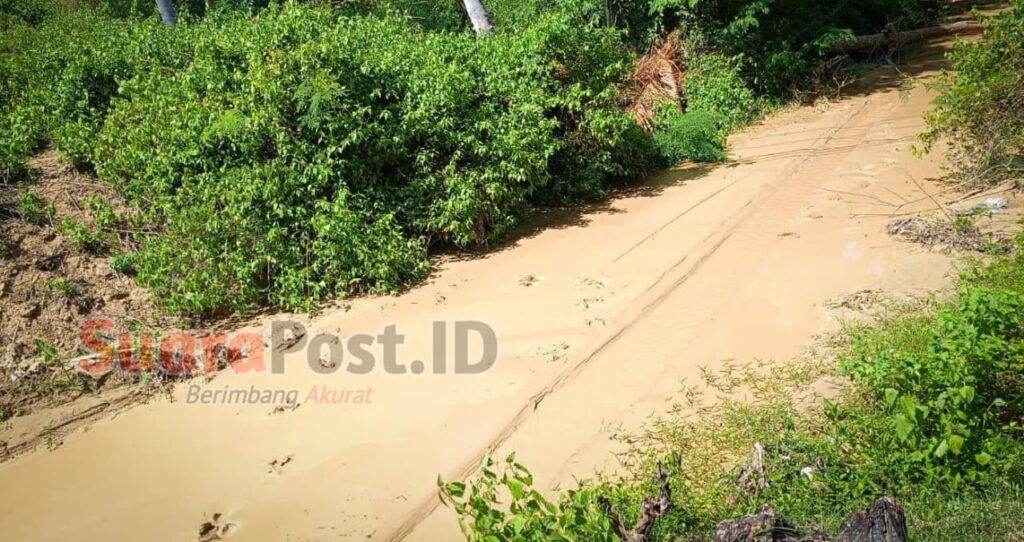 Tambang Emas di Marisa: Ancaman Bagi DAS dan Banjir Desa Bulangita