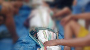 Pohon Tumbang Hantam Pondok, 6 Orang Tewas di Hutan Dengilo