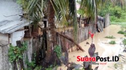 Tambang Emas, Desa Palopo yang Jadi Korban