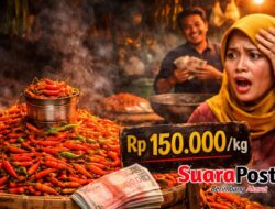 Cabai Rawit di Pohuwato ‘Pedasnya Kebangetan’, Usai Lebaran Tembus Rp150 Ribu per Kg
