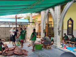 9 Tahun Perjalanan Qurban Mesjid At-Taqwa, Dari Satu Sapi Kini Jadi Sembilan