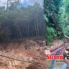 PETI Diduga Gerus Hutan Desa Hulawa, Polisi Didesak Turun Tangan