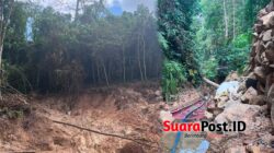 PETI Diduga Gerus Hutan Desa Hulawa, Polisi Didesak Turun Tangan