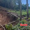 Hutan Desa Hulawa Diduga Digerogoti PETI, Kades Desak BPKH Turun
