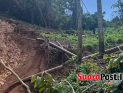 Hutan Desa Hulawa Diduga Digerogoti PETI, Kades Desak BPKH Turun