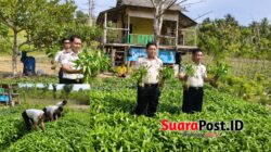 Lapas Pohuwato Panen Kangkung, Perkuat Ketahanan Pangan dari Kebun Lapas