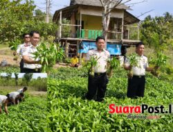 Lapas Pohuwato Panen Kangkung, Perkuat Ketahanan Pangan dari Kebun Lapas