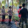 Kemarau Jadi Alarm Karhutla, Polisi-TNI dan Damkar Cegah Api Meluas di Paguat