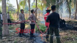 Kemarau Jadi Alarm Karhutla, Polisi-TNI dan Damkar Cegah Api Meluas di Paguat
