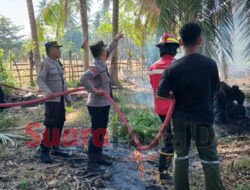 Kemarau Jadi Alarm Karhutla, Polisi-TNI dan Damkar Cegah Api Meluas di Paguat