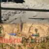 PETI Terus Menggali, Sungai Terus Dangkal: Jembatan Bulangita-Teratai Terancam