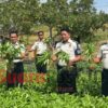 Dari Lahan Lapas, Asa Kemandirian Warga Binaan Pohuwato Tumbuh