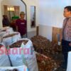 Dorong UMKM Semakin Produktif, BRI Cabang Marisa Salurkan KUR Rp 63.9 M