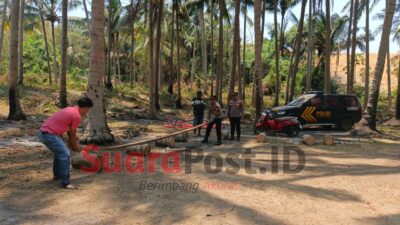 Polisi Tindak Lanjuti Aduan 110 soal Sabung Ayam di Marisa, Pelaku Keburu Bubar